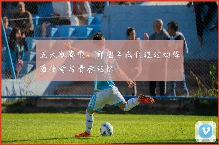 五大联赛啊,那些年我们追过的绿茵传奇与青春记忆